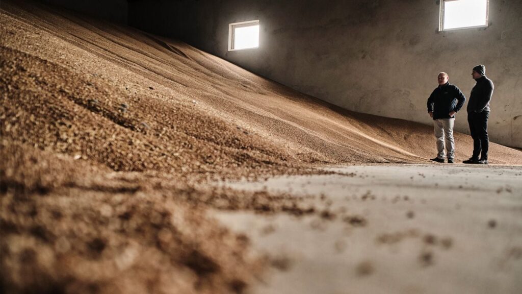 Україна увійшла до трійки найбільших експортерів агропродукції до ЄС – Eurostat