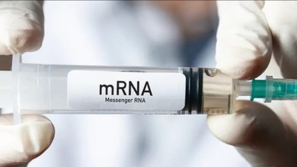 США розірвали контракт на розробку вакцини проти пташиного грипу: деталі