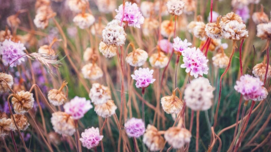 Яке свято 27 травня 2025 та для чого міняти одяг цього дня