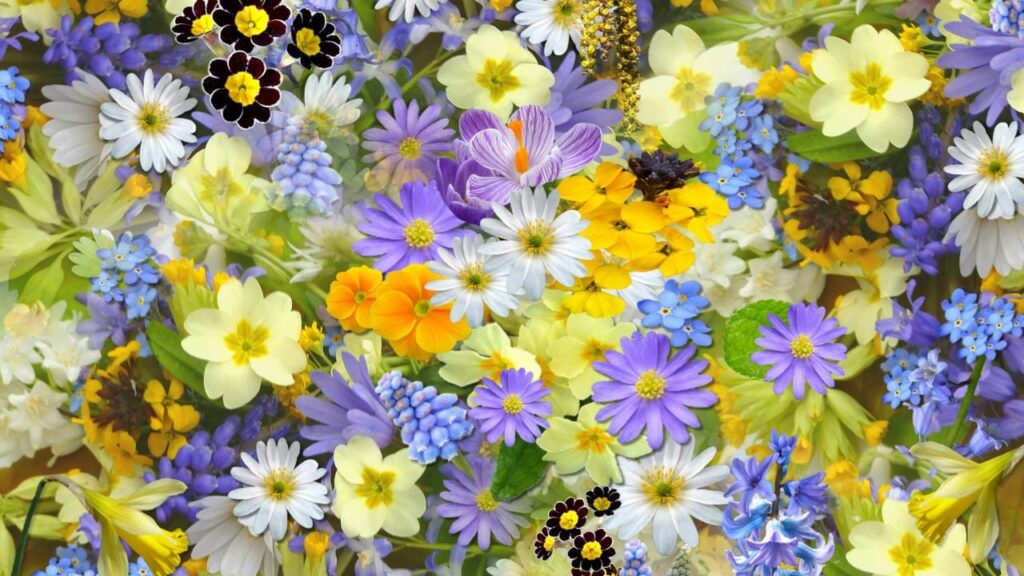 Яке свято 11 травня 2025 і чому дівчатам не радили підмітати