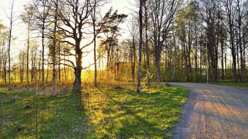 Яке свято 12 травня та що сьогодні не можна приносити додому