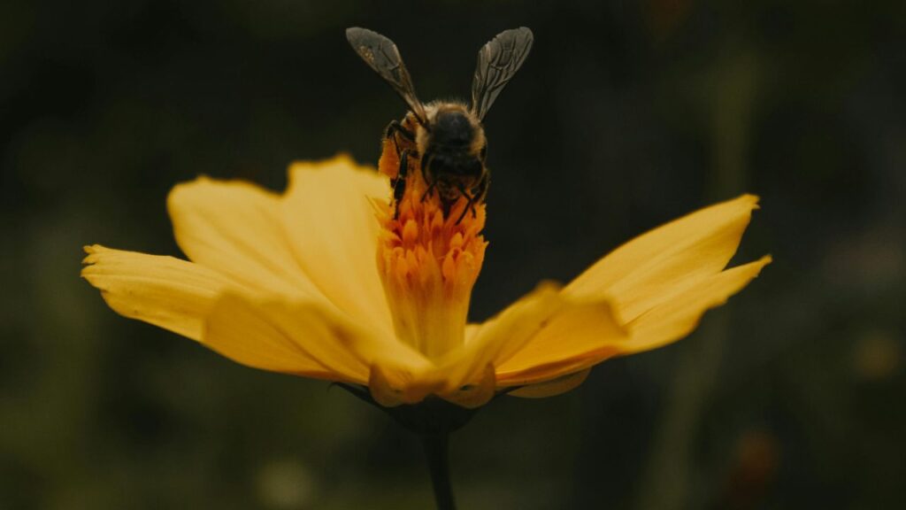 Яке свято 25 травня 2025 та чому не можна лишати брудний посуд на ніч