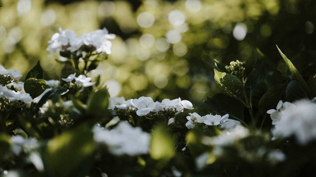 Яке свято 6 травня та чому варто відкласти фінансові справи