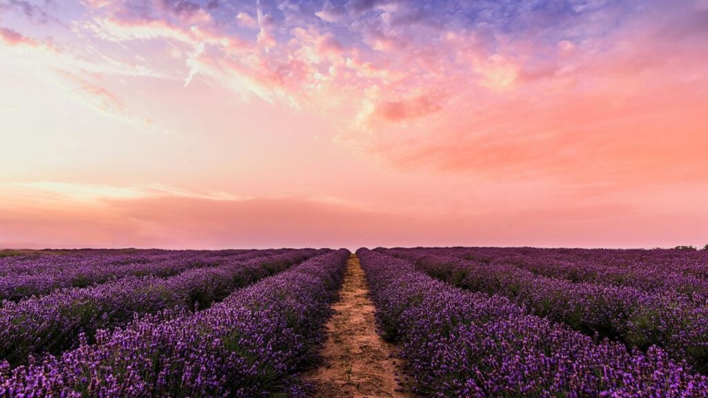 Яке свято 7 травня 2025 та чому це найкращий день для сімейних справ