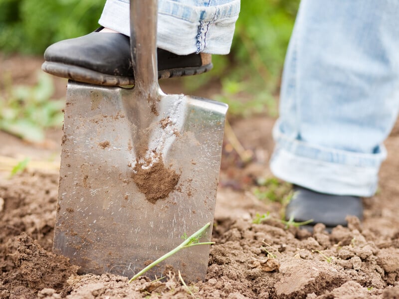 Агроном пояснив, як розпушити твердий ґрунт