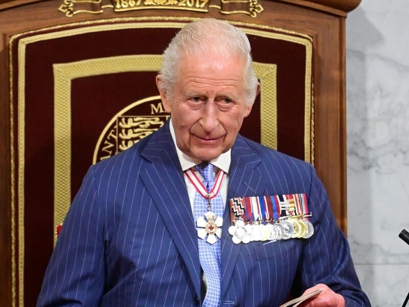 Чарльз ІІІ особисто прийняв у Букінгемському палаці відому українську правозахисницю. Фото