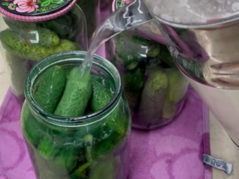 Приготуйте консервацію без оцту – рецепт маринаду, завдяки якому огірки будуть дуже хрумкими