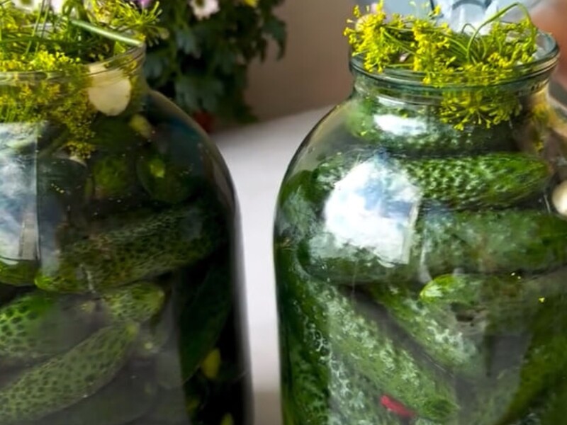 Не потрібно нічого кип'ятити – рецепт маринаду, завдяки якому малосольні огірки будуть дуже хрусткими