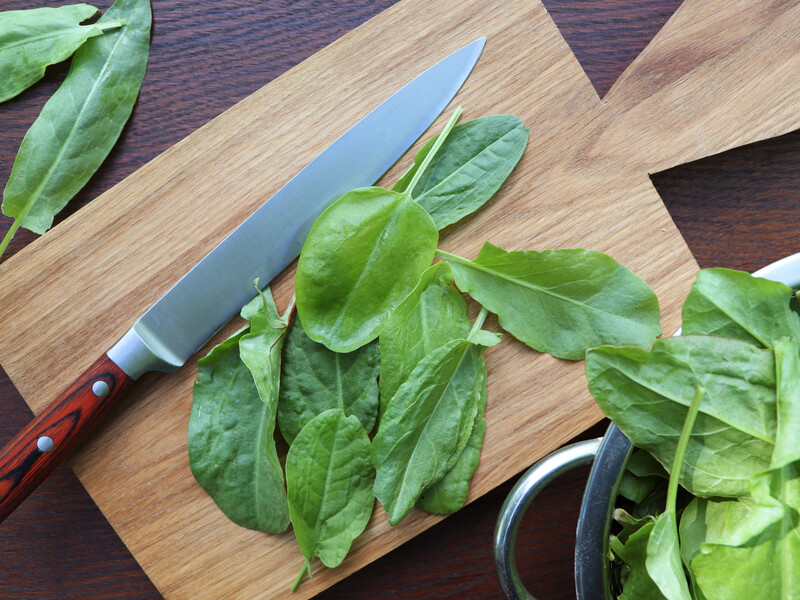 Жодної солі – а стоїть цілу зиму: як заготовити щавель лише з водою