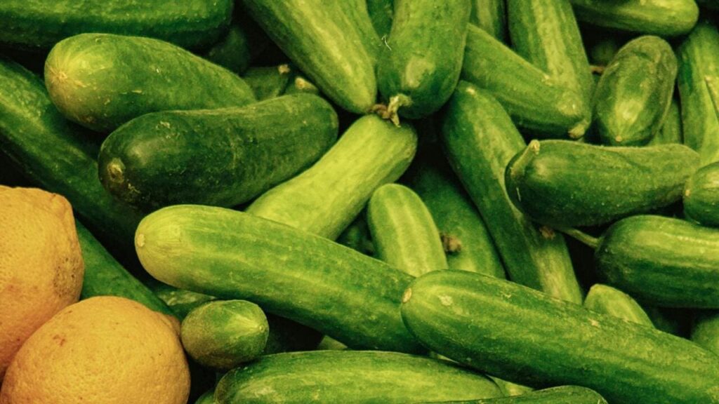 Сезонне здешевлення: ціни на огірки в Україні падають