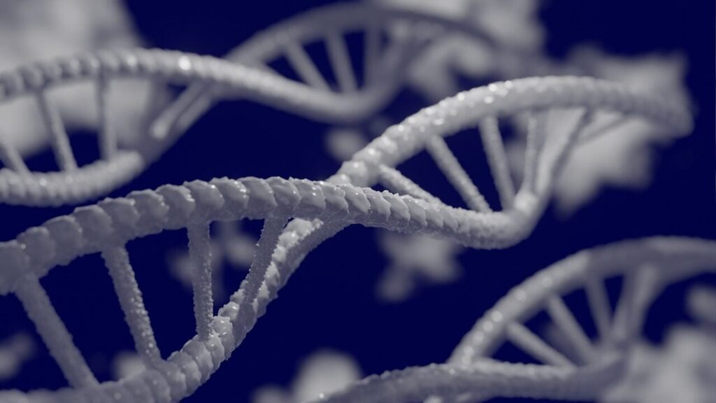 Аутизм, шизофренія, депресія: вчені знайшли першопричину восьми розладів психіки