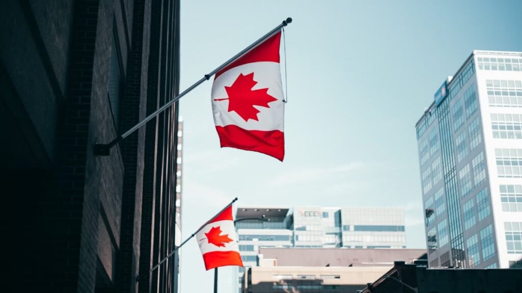 Бронетехніка, РЕБ і боєприпаси: Канада оголосила про новий пакет допомоги Україні