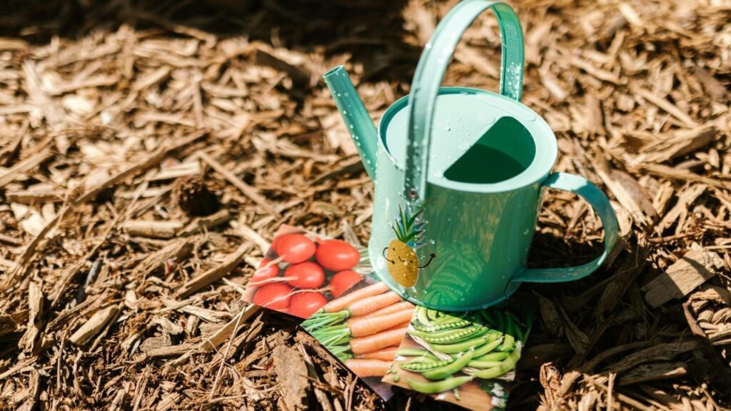 Посівний календар на липень 2025: коли садити, а коли не варто