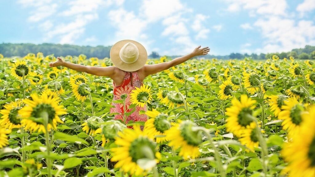 Найрідкісніші прізвища в Україні, про які ви точно не чули: список Найрідкісніші прізвища в Україні, про які ви точно не чули: список