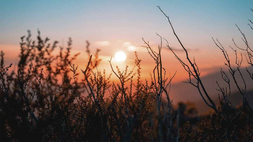 Яке свято 9 червня 2025 та чому не варто одягати чорне