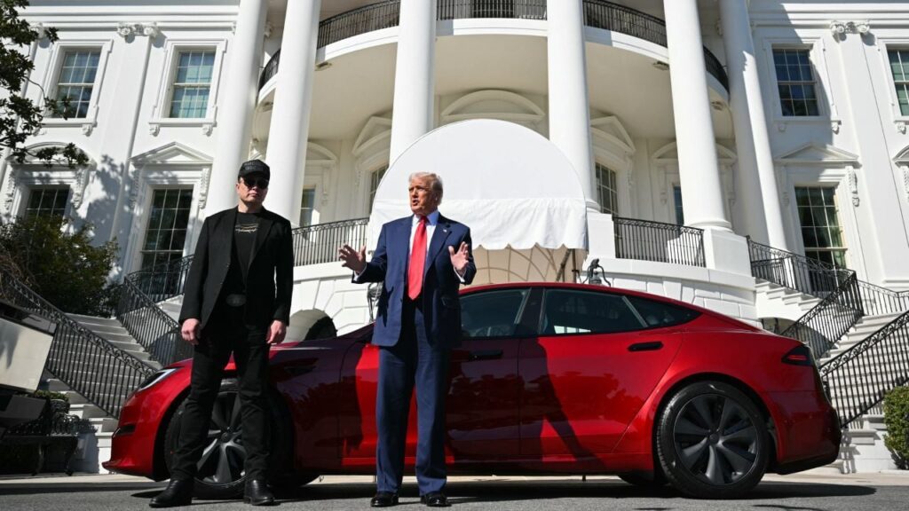 Маск про свої дописи із критикою Трампа: Це було занадто