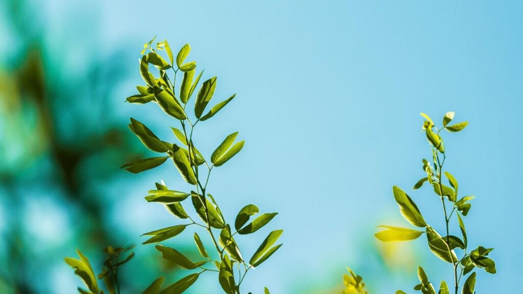 Яке свято 12 червня 2025 та чому краще засинати після опівночі