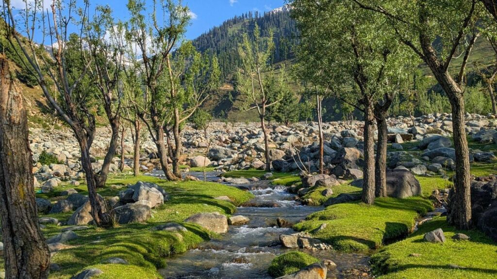 Яке свято 6 червня 2025 та чому не можна викидати залишки їжі зі столу