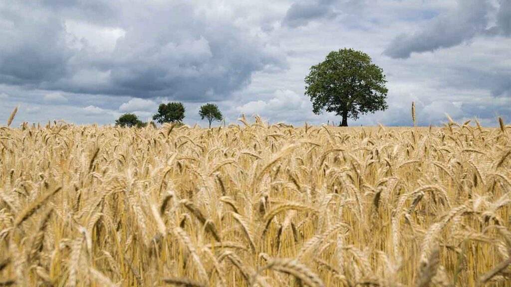 Яке свято 7 червня 2025 та чому не варто розповідати про свої плани