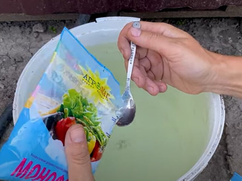 У липні розчиніть це у воді – і морква виросте рівною, великою й солодкою