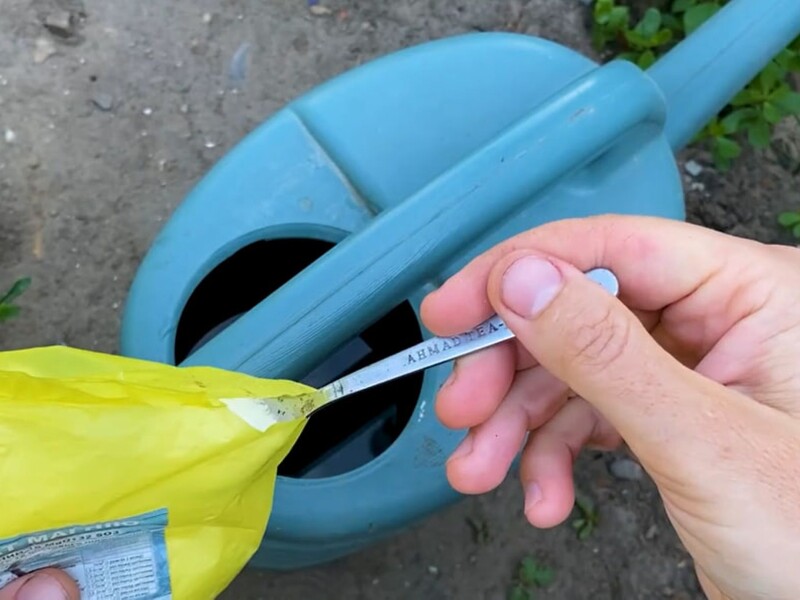 У липні двічі полийте цим город – і цибулини виростуть розміром як кулак. Рецепт підживлення