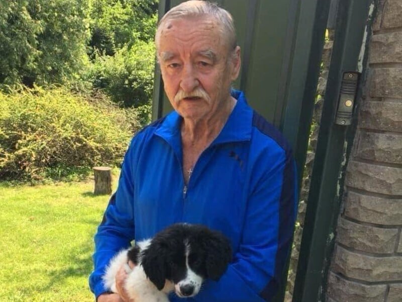 "Відмовляється їсти". Удова Поклада шокувала змінами поведінки собаки після смерті композитора