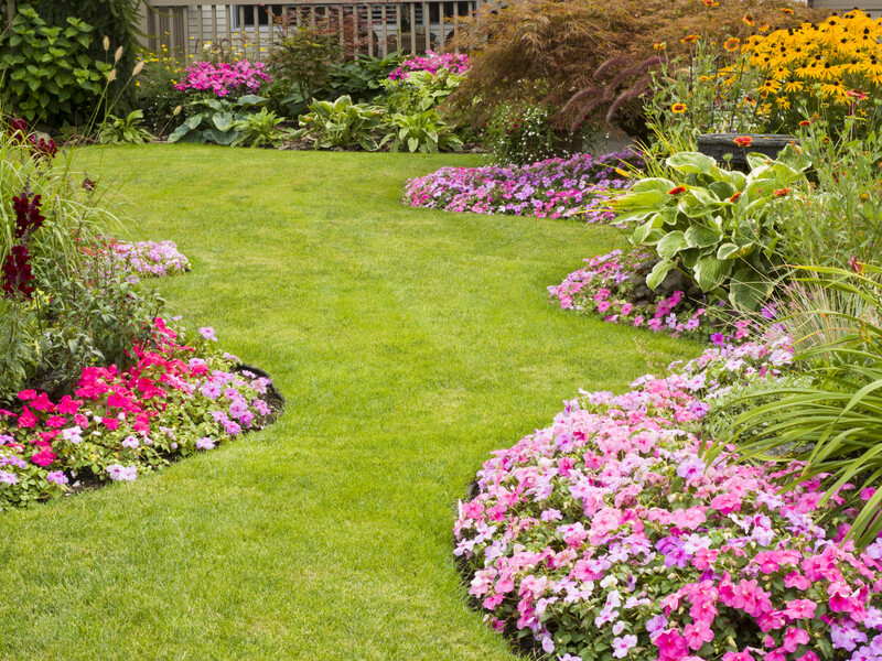 Кухонні відходи, які перетворюють спалений спекою газон на зелений килим