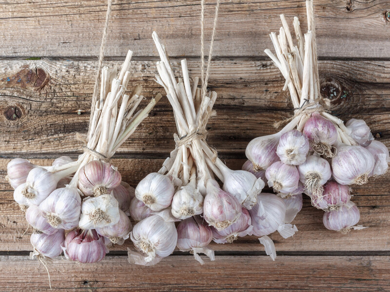 Покладіть це поряд з часником – і урожай ніколи не зіпсується. Городники розкрили секрет