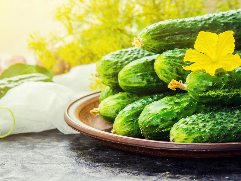 Ця звична городникам година – табу для поливу огірків