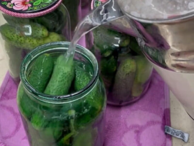 Приготуйте консервацію на зиму без оцту – перевірений рецепт маринаду для хрумких огірків