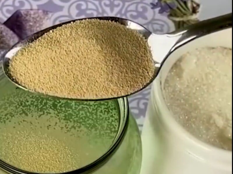 Розчиніть це у воді – й огірки активно почнуть плодоносити. Городник розкрив секрет щедрого врожаю