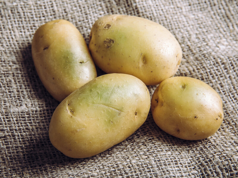 Чому зеленіє картопля й чи можна її їсти Чому зеленіє картопля й чи можна її їсти