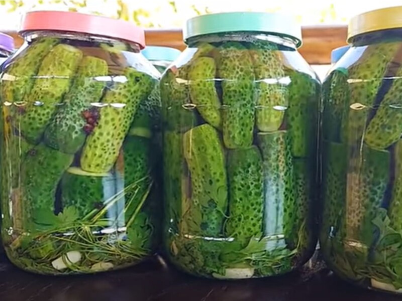 Залиште огірки в цьому розсолі на три дні – і кришки взимку не вибухнуть. Рецепт консервації