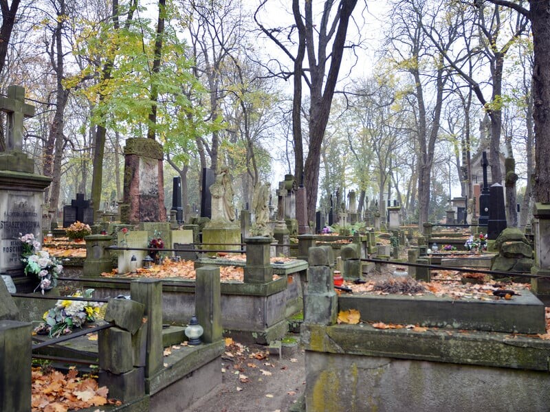 Блогер шокував занедбаним станом могили видатного письменника Тютюнника. Фото