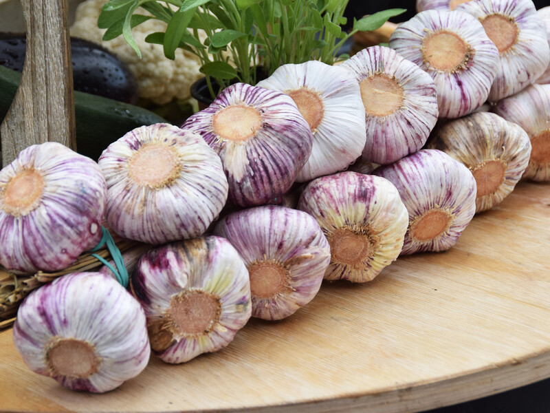 Не погниє до весни. 10 кращих способів зберігання часнику