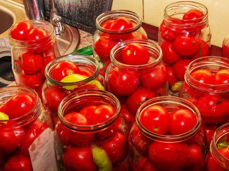 Покладіть помідори, залийте цим простим розсолом – і квашення на зиму готове. Швидкий рецепт