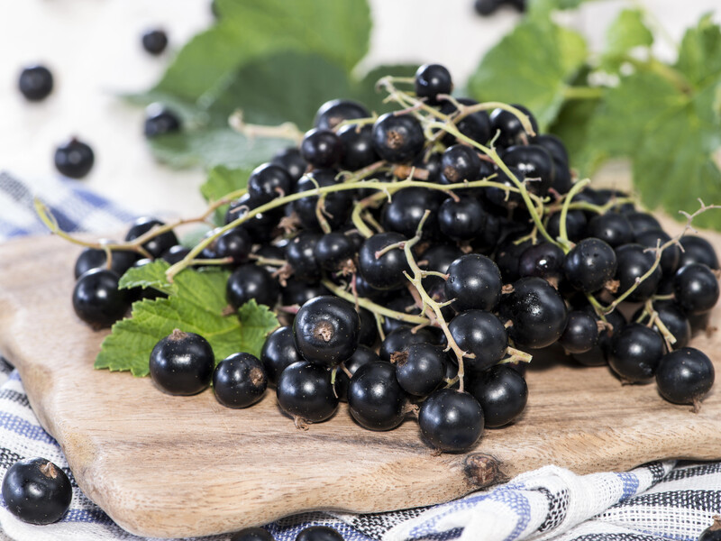 Заморозьте смородину так – і взимку вона буде як свіжа і така ж корисна. Перевірені поради