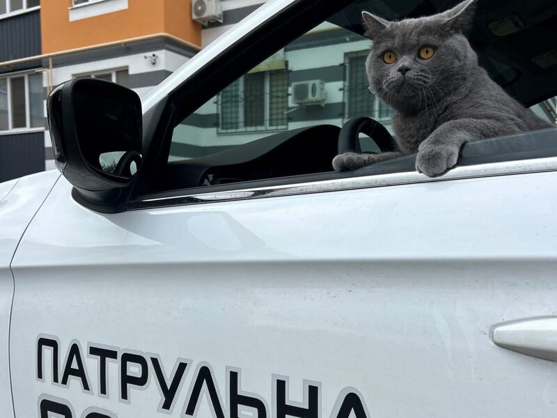 Стрілятимуть без попередження. 12 випадків, коли патрульні в Україні можуть застосувати зброю