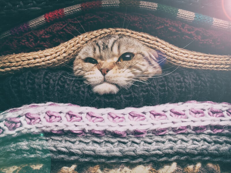 "Підготуйтеся, прикрийте все у дворі!" Синоптикиня попередила про дощі й похолодання в Україні