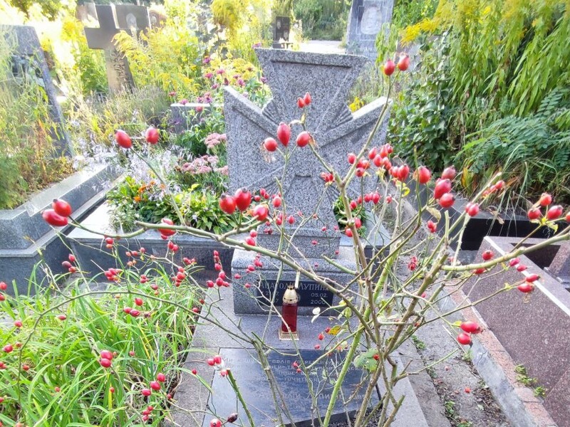 "Пройшов кола пекла радянських спецпсихлікарень". У Києві прибрали на могилі відомого поета