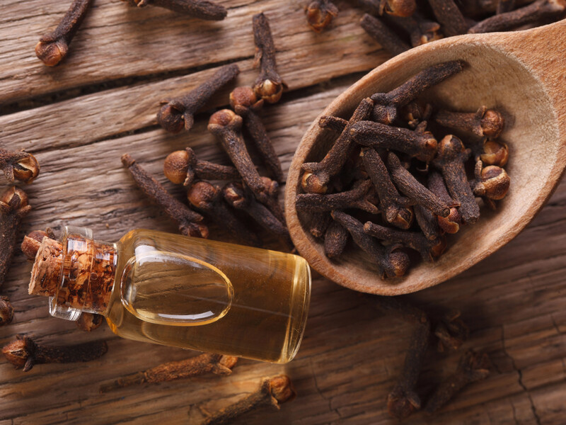 Найкращі засоби від комах на основі гвоздики. Три варіанти використання