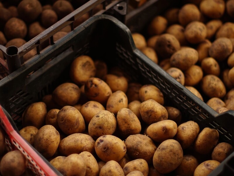 Цей овоч зіпсує весь урожай картоплі. Простежте, щоб вони зберігалися подалі один від одного