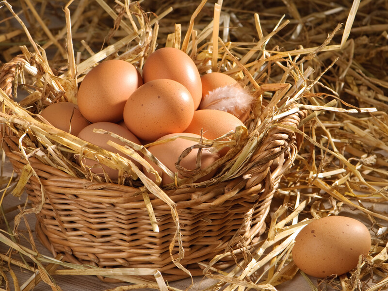 Розчиніть це у воді – і кури знову почнуть регулярно нести яйця. Рецепт натурального підкорму