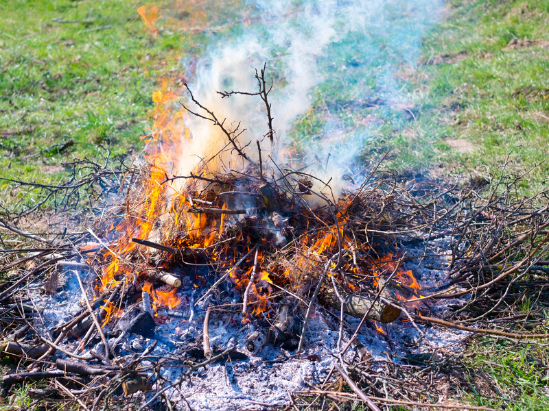 Городників попередили про штрафи за спалювання сухої трави. Скільки доведеться заплатити