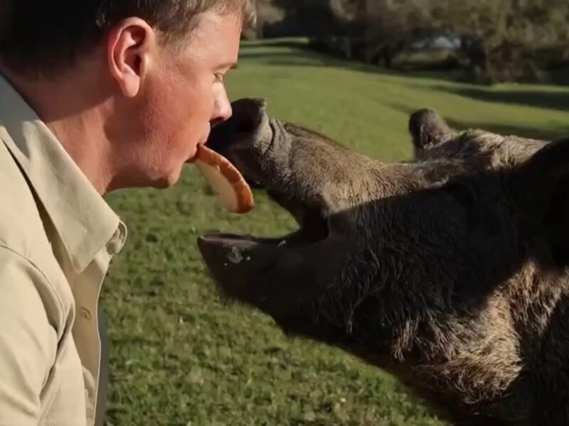Комаров після довгої паузи вийшов із заявою і засвітив обручку. Відео Комаров після довгої паузи вийшов із заявою і засвітив обручку. Відео
