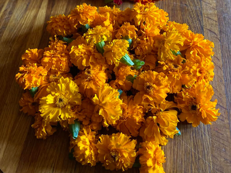 Три види чорнобривців для смачного, цілющого чаю. А в цьому ще – ніжний лимонний аромат