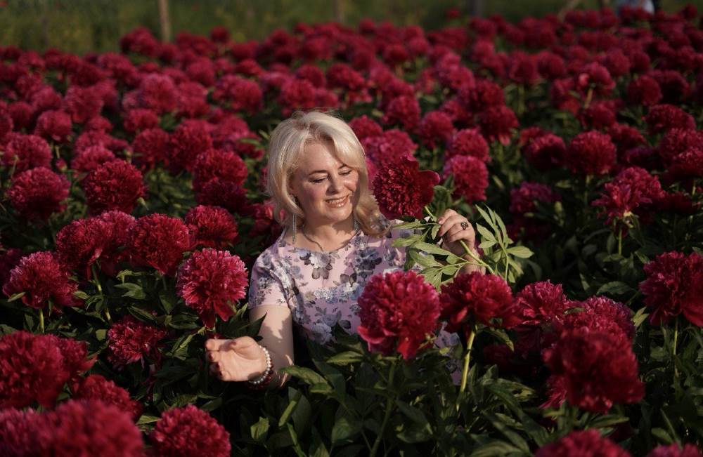 «Півонії» — музична історія тепла і світла від Галини Лукашонок