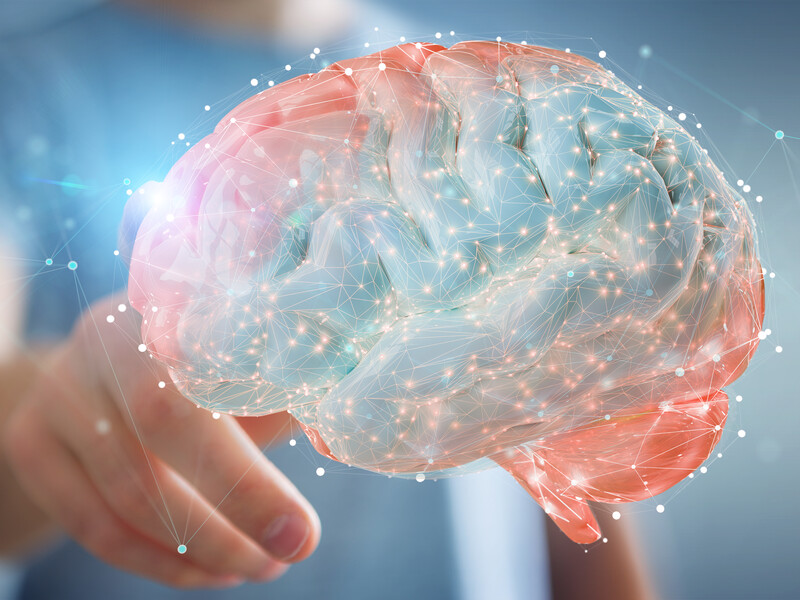 Коли людський мозок досягає піку своїх можливостей? Учені дали неочікувану відповідь