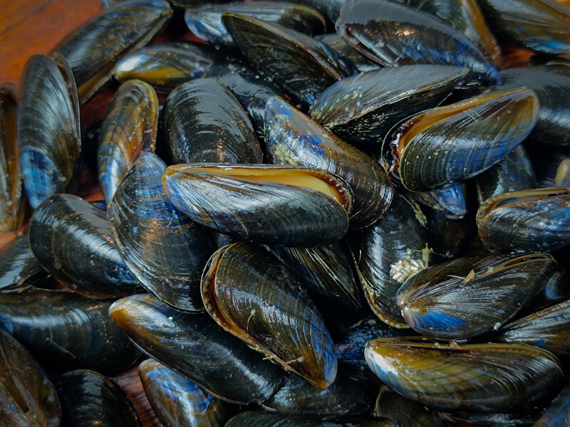 Як смажити мідії в мушлях? Покроковий рецепт