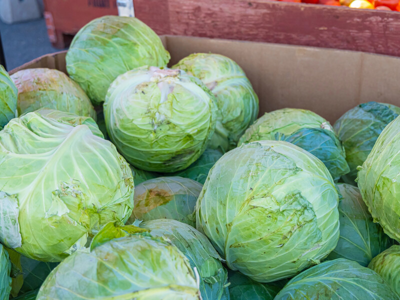 Розкладіть на цьому капусту головками вниз – і вона пролежить до літа. Хитрість, яка збереже врожай Розкладіть на цьому капусту головками вниз – і вона пролежить до літа. Хитрість, яка збереже врожай